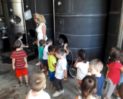 Έναρξη Σχολικής Χρονιάς8