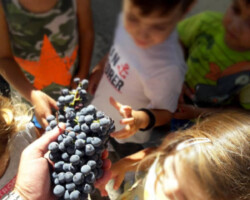 Έναρξη Σχολικής Χρονιάς7