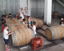 Έναρξη Σχολικής Χρονιάς5