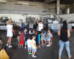 Έναρξη Σχολικής Χρονιάς4