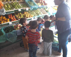 Το ταξίδι της Διατροφής5