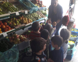 Το ταξίδι της Διατροφής4