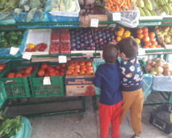 Το ταξίδι της Διατροφής2