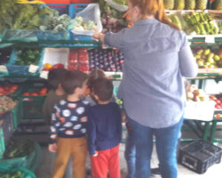 Το ταξίδι της Διατροφής1