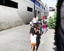 Επίσκεψη σε Ελαιοτριβείο14