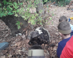 Εξόρμηση στη Φύση17