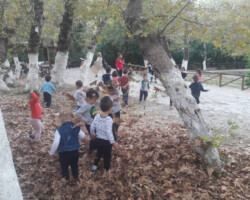 Εξόρμηση στη Φύση16