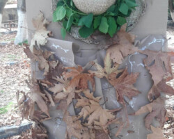 Εξόρμηση στη Φύση15