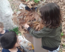 Εξόρμηση στη Φύση14