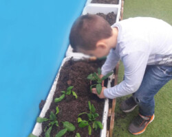 Φυτεύοντας Σπόρους στον κήπο11