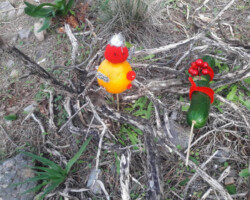 Χριστουγεννιάτικο Δέντρο στο Δάσος12