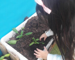 Φυτεύοντας Σπόρους στον κήπο10