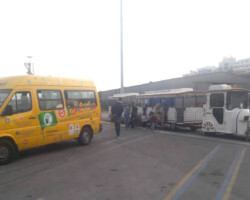 Παγκόσμια Ημέρα Χωρίς Αυτοκίνητο8