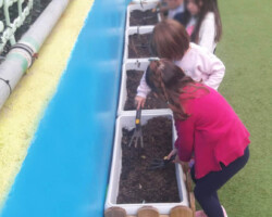 Φυτεύοντας Σπόρους στον κήπο9