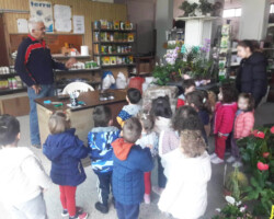 Επίσκεψη σε κατάστημα Σπόρων - Φυτών6