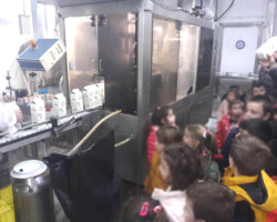 Επίσκεψη σε Εργοστάσιο Γαλακτοβιομηχανίας8