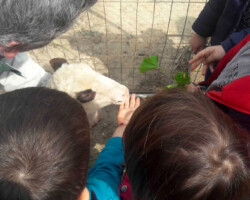 Περιβαλλοντική Εκπαίδευση15