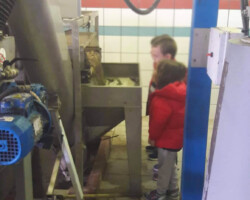 Επίσκεψη σε Ελαιοτριβείο6