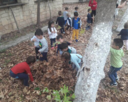 Εξόρμηση στη Φύση9