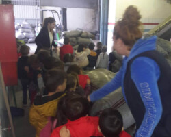 Επίσκεψη σε Ελαιοτριβείο5