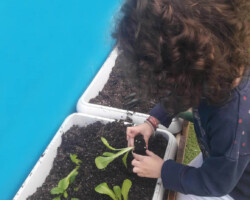 Φυτεύοντας Σπόρους στον κήπο8