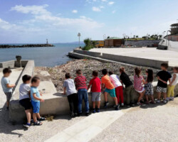 Αγαπάμε το Περιβάλλον, Φροντίζουμε την Πόλη μας14