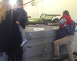 Επίσκεψη σε Ελαιοτριβείο4