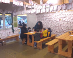 Το κάστρο των Χριστουγέννων5