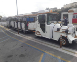 Παγκόσμια Ημέρα Χωρίς Αυτοκίνητο4