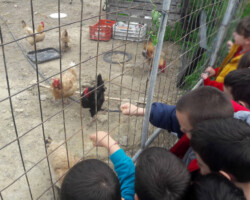 Περιβαλλοντική Εκπαίδευση13