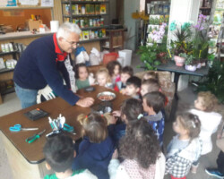 Επίσκεψη σε κατάστημα Σπόρων - Φυτών4