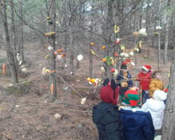 Χριστουγεννιάτικο Δέντρο στο Δάσος7