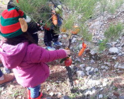 Χριστουγεννιάτικο Δέντρο στο Δάσος6