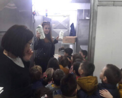 Επίσκεψη σε Εργοστάσιο Γαλακτοβιομηχανίας7