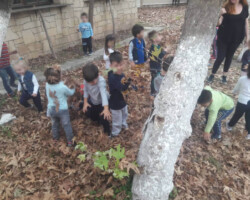 Εξόρμηση στη Φύση7