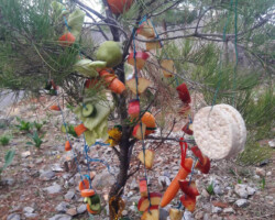 Χριστουγεννιάτικο Δέντρο στο Δάσος5