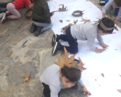 Εξόρμηση στη Φύση5