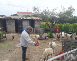 Περιβαλλοντική Εκπαίδευση12