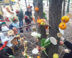 Χριστουγεννιάτικο Δέντρο στο Δάσος3