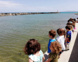 Αγαπάμε το Περιβάλλον, Φροντίζουμε την Πόλη μας11