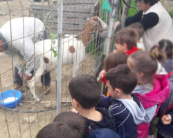 Περιβαλλοντική Εκπαίδευση11