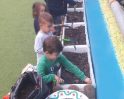 Φυτεύοντας Σπόρους στον κήπο6