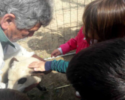 Περιβαλλοντική Εκπαίδευση10