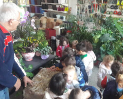 Επίσκεψη σε κατάστημα Σπόρων - Φυτών3