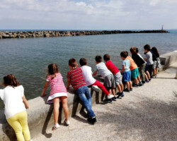 Αγαπάμε το Περιβάλλον, Φροντίζουμε την Πόλη μας7