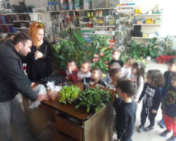 Φυτεύοντας Σπόρους στον κήπο4