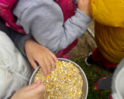 Περιβαλλοντική Εκπαίδευση9