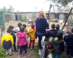 Περιβαλλοντική Εκπαίδευση8