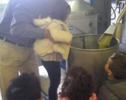 Επίσκεψη σε Ελαιοτριβείο1