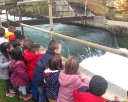 Από την Γή στην Κρήνη4